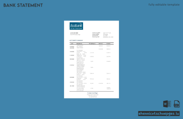 Beispiel eines Kontoauszugs der Niger Ecobank (Vorschau)
